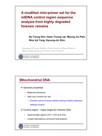 A modified mini-primer set for the  mtDNA control region sequence  analysis from highly degraded