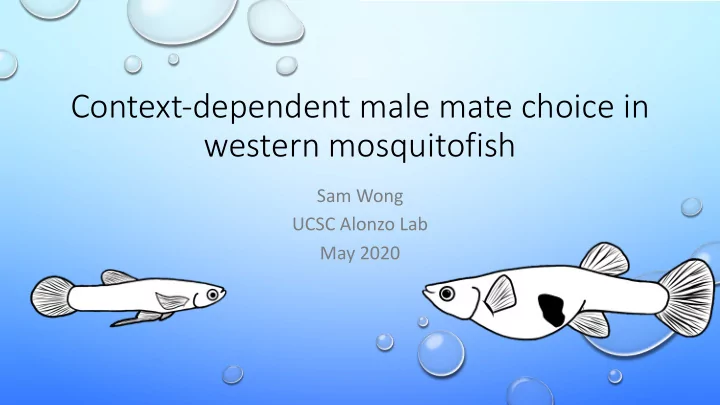 context dependent male mate choice in western mosquitofish
