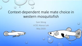 Context-dependent male mate choice in  western mosquitofish  Sam Wong  UCSC Alonzo Lab  May 2020