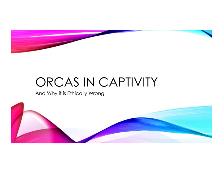 orcas in captivity