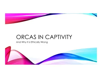 ORCAS IN CAPTIVITY  And Why it is Ethically Wrong  Theory: Preference Utilitarianism  Orcas in