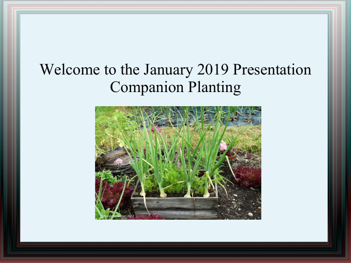 welcome to the january 2019 presentation companion