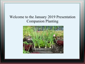 Welcome to the January 2019 Presentation  Companion Planting  Agenda  2019 Presentations