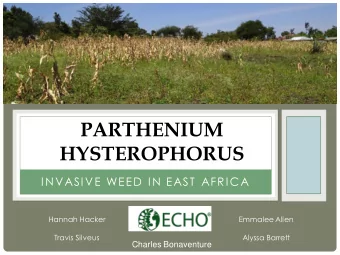 PARTHENIUM  HYSTEROPHORUS  INVASIVE WEED IN EAST AFRICA  Hannah Hacker  Emmalee Allen  Travis