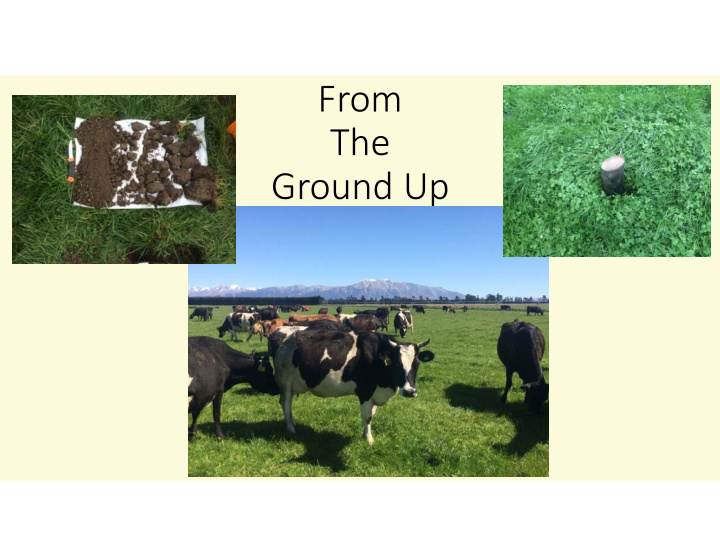 from the ground up backtrack dairies