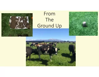 From The Ground Up  Backtrack Dairies  Waiora  Whakapono Effective Area  210  155  Stocking Rate