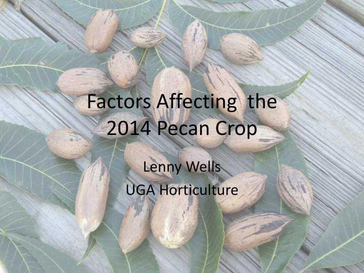 factors affecting the 2014 pecan crop