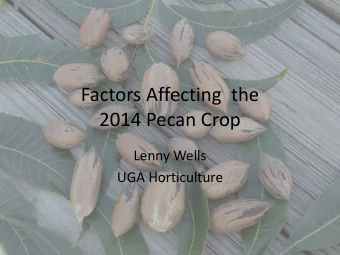 Factors Affecting  the  2014 Pecan Crop  Lenny Wells  UGA Horticulture  How Will 2013 Affect 2014?