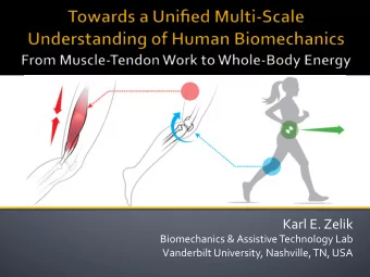 Karl%E.%Zelik  %  Biomechanics%&amp;%Assistive%Technology%Lab  %