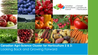 Looking Back and Growing Forward  Theme  Project Title  Project Lead  Optimizing Storage