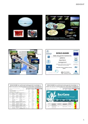 BONUS  BAMBI Baltic Sea Baltic Sea genetic biodiversity  patterns  importance  management