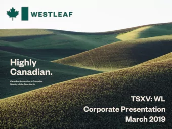 DISCLAIMER Westleaf Inc. (formerly IGC Resources Inc., the &quot;Corporation or Westleaf)