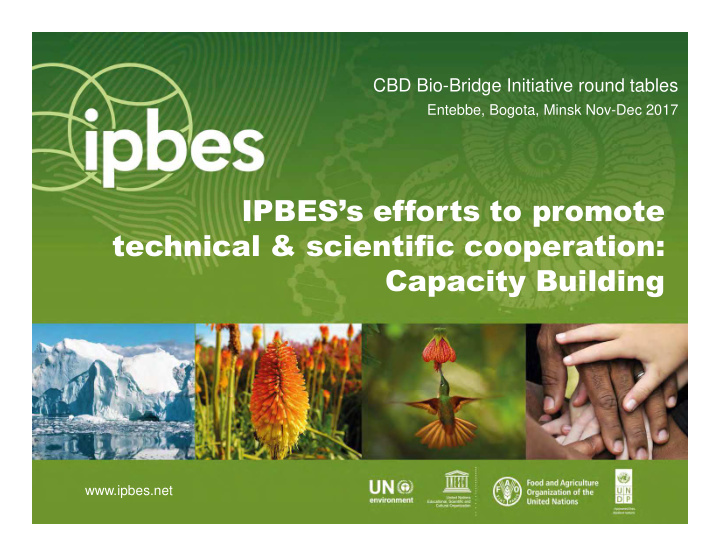 ipbes s efforts to promote technical scientific