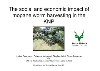 The social and economic impact of  mopane worm harvesting in the  KNP  Louise Swemmer, Patience