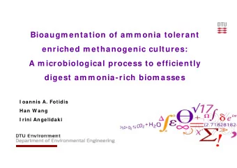 Bioaugm entation of am m onia tolerant  enriched m ethanogenic cultures:  A m icrobiological