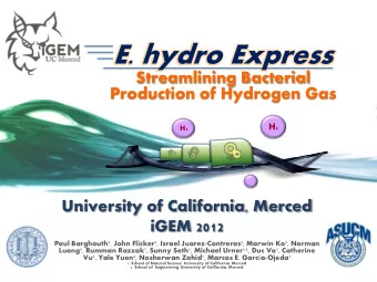E. hydro Express  Streamlining Bacterial  Production of Hydrogen Gas H 2 H 2 H 2  University of