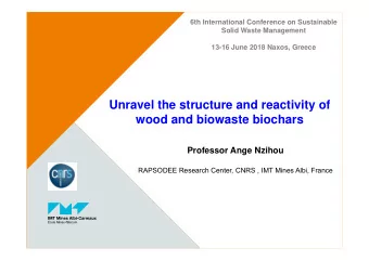 Unravel the structure and reactivity of  wood and biowaste biochars  Professor Ange Nzihou