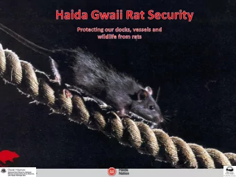Why the concern about rats on Haida Gwaii?  Haida Gwaii supports 1.5 million nesting seabirds from