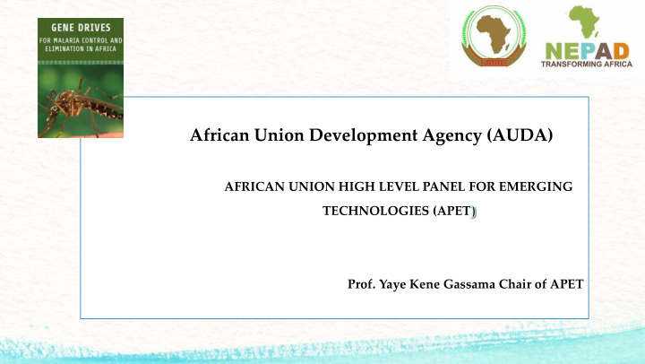 african union development agency auda