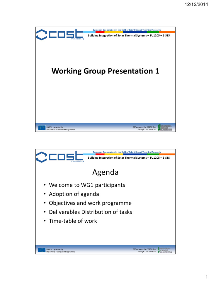 working group presentation 1