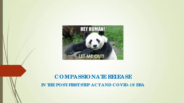 compassionat e re l e ase
