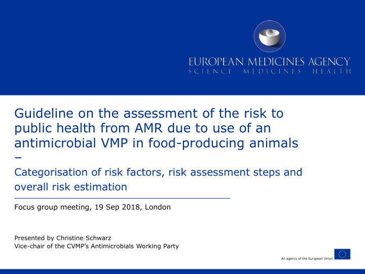 guideline on the assessment of the risk to public health