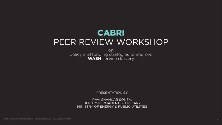 cabri peer review workshop