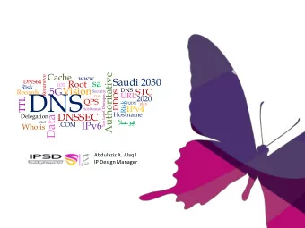 DNS  Security  DDOS  TLS  Top Level Domains  2020  TTL  QPS  Risk  FQDN  plan  IPv4  Sub Domain