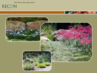 Abutilon palmeri COMMON NAME Indian Mallow HEIGHT WIDTH 4' 4' FOLIAGE TYPE WATER USE Evergreen Low