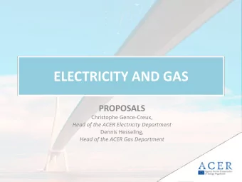 ELECTRICITY AND GAS  PROPOSALS  Christophe Gence-Creux,  Head of the ACER Electricity Department