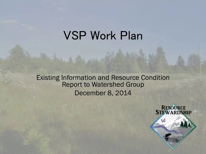 vsp work plan