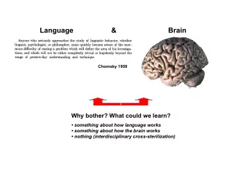 Language                   &amp;                          Brain  Chomsky 1959  Why bother? What