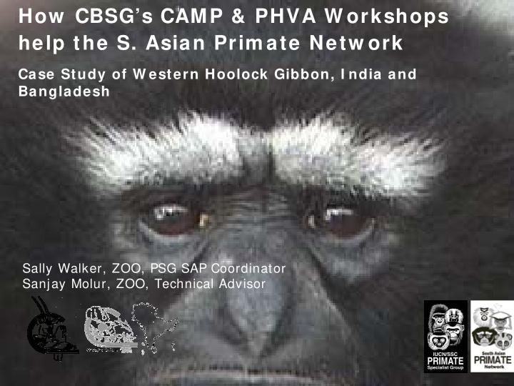 how cbsg s camp phva w orkshops help the s asian prim ate