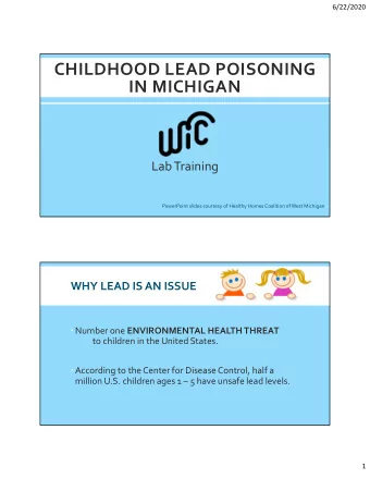 CHILDHOOD LEAD POISONING IN MICHIGAN Lab Training PowerPoint slides courtesy of Healthy Homes