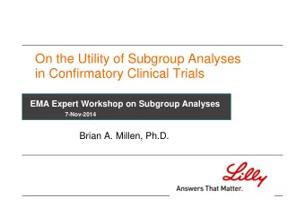 On the Utility of Subgroup Analyses  in Confirmatory Clinical Trials  EMA Expert Workshop on