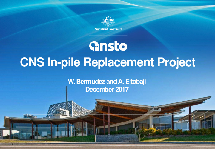 cns in pile replacement project