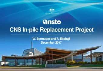 CNS In-pile Replacement Project  W. Bermudez and A. Eltobaji  December 2017  What is the project?