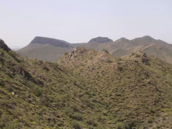 LID Basics and Beyond:  Low Impact  Development Trends in the Southwest  The Urban Forest Resource: