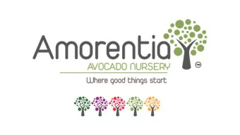 Seedling Tree Selection  and Numbering  Leaf Collection  Seedling Tree  Fruit Picking  Fruit