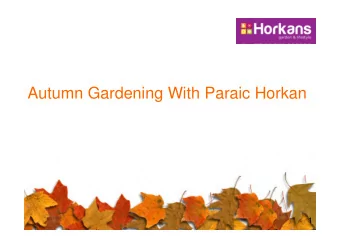 Autumn Gardening With Paraic Horkan  1  2  Autumn Gardening  Natures Time  1. Lawns