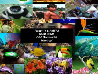 Target 11 &amp; PoWPA  Sarat Gidda  CBD Secretariat  Montreal  October 2010: Nagoya  Biodiversity