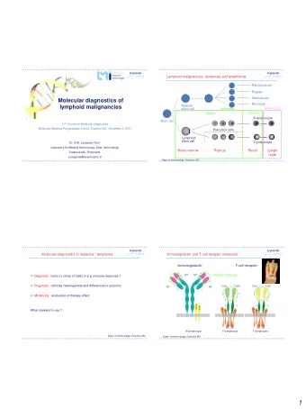 1  IG / TCR heterogeneity : combinatorial and junctional diversity  IG / TCR heterogeneity :