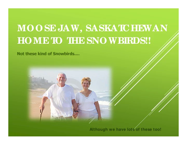moose jaw saskat che wan home t o t he snowbirds