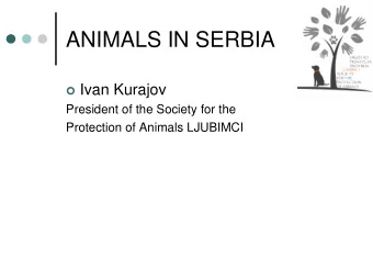 ANIMALS IN SERBIA  Ivan Kurajov  President of the Society for the  Protection of Animals