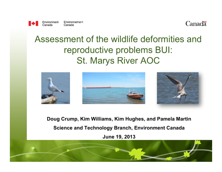 assessment of the wildlife deformities and reproductive