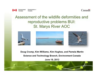 Assessment of the wildlife deformities and  reproductive problems BUI: St. Marys River AOC  Doug