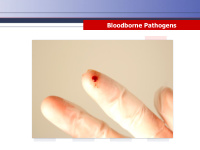 bloodborne pathogens disclaimer