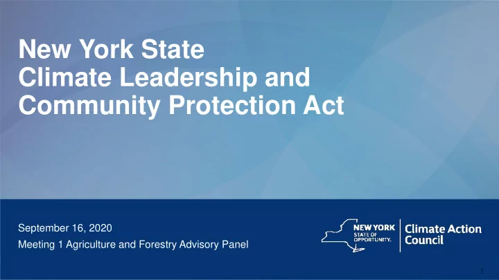 new york state climate leadership and community
