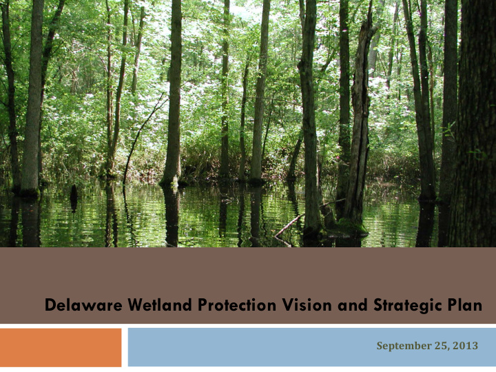 delaware wetland protection vision and strategic plan