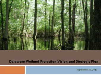 Delaware Wetland Protection Vision and Strategic Plan  September 25, 2013  ELI Delaware Wetland